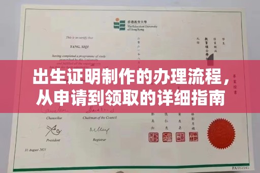 望江出生证明制作的办理流程，从申请到领取的详细指南
