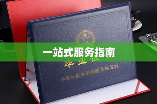 望江一站式服务指南
