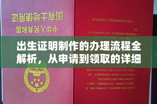 望江出生证明制作的办理流程全解析，从申请到领取的详细指南