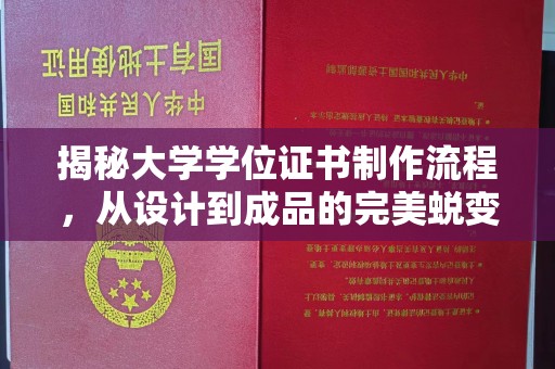 望江揭秘大学学位证书制作流程，从设计到成品的完美蜕变