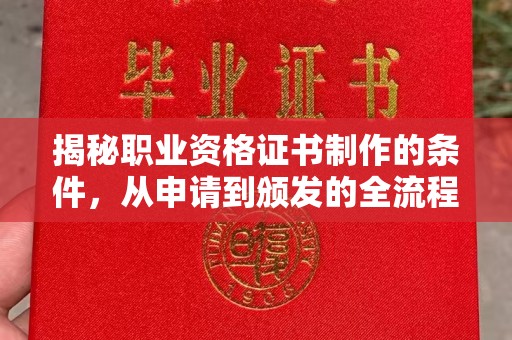 望江揭秘职业资格证书制作的条件，从申请到颁发的全流程解析