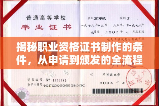望江揭秘职业资格证书制作的条件，从申请到颁发的全流程解析
