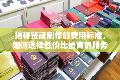 望江揭秘签证制作的费用标准，如何选择性价比最高的服务？